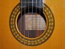 FERNANDES 長末晴高　HARUTAKA NAGASUE　№10　オール単板仕様_6