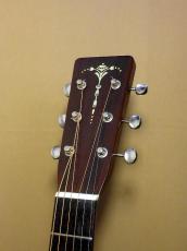 Cat's Eyes CE-800_6