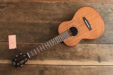 Real Sun Ukulele Tenor RS-AT100 _9