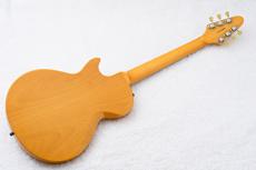 Edwards E-ML-90LT【3.5kg】【マニアックモデル!!】_11