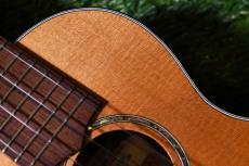 Hamada Guitars Tokyo C-005 Concert_9
