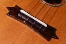 Hamada Guitars Tokyo C-005 Concert_12