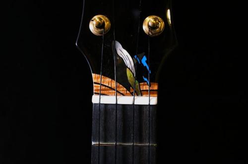 aNueNue KYAS WHALE Tenor