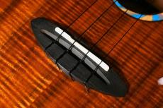 aNueNue KYAS WHALE Tenor_12