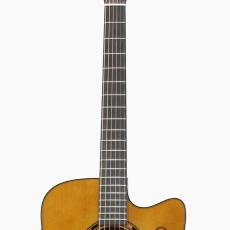 YAMAHA TAG3 C SAND BURST_6