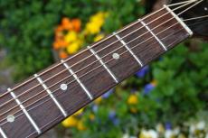 Gibson B-25CSB_10