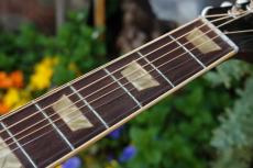 Gibson L-50_12
