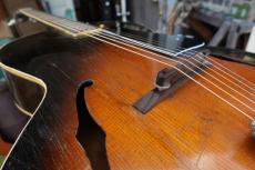 Gibson L-50_15
