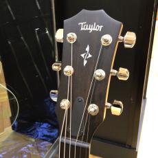 Taylor 412ce_3