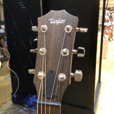 Taylor AD22e_3