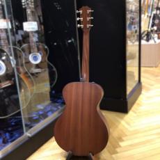 Taylor AD22e_6