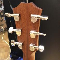 Taylor AD22e_7