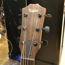Taylor AD12e-SB_3