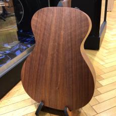 Taylor AD12e-SB_5