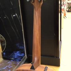 Taylor AD12e-SB_8