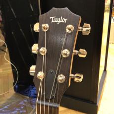 Taylor AD24ce_3