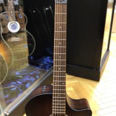 Taylor AD24ce_4
