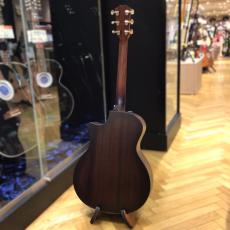 Taylor AD24ce_6