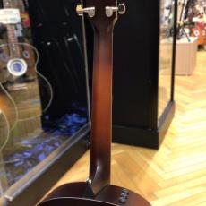 Taylor AD27e Flame Top_8