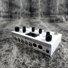 meris LVX_4