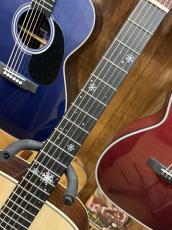 Headway 【一点物オーダー品】Custom Shop HF-丹頂鶴 Custom Build By Arata Furihata_3