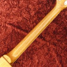 Tokai LS-101 Sherwood Green Metallic_5