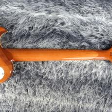 Aria Pro II PE-AE200 Yellow Gold_6