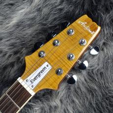 Aria Pro II PE-AE200 Yellow Gold_7