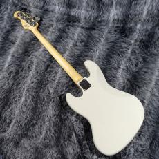 FUJIGEN NJB10RAL-VWH/01_5