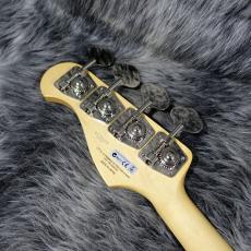 FUJIGEN NJB10RAL-VWH/01_8