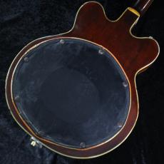 Gretsch 【1965年製】 6122 Chet Atkins Country Gentleman【3.69kg】_9