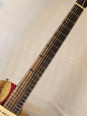 Nakagawa Guitars Holy Ghost Soil 【国産ハイエンド】【ハカランダ指板】【重量 4.18kg】【Made in 鈴鹿】_2