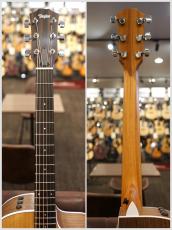 Taylor 【モデル紹介演奏動画あり】214ce 【Taylor代表作】※取寄商品_10