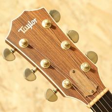 Taylor 810B Brazilian Rosewood 2000_8