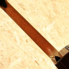 Taylor 912ce SB 2017_7