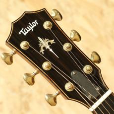 Taylor 912ce SB 2017_8