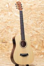 Taylor Baby Taylor BT1e_3