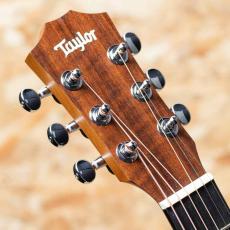 Taylor Baby Taylor BT1e_4