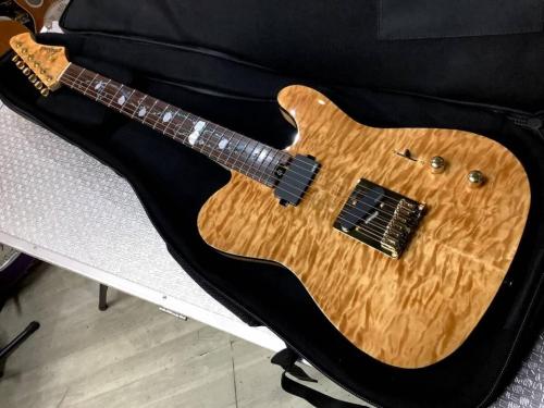 Aria Pro II TEG-780 N (Natural) 　アリアプロ2【限定モデル】