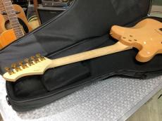 Aria Pro II TEG-780 N (Natural) 　アリアプロ2【限定モデル】_5