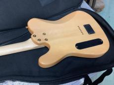 Aria Pro II TEG-780 N (Natural) 　アリアプロ2【限定モデル】_6