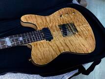 Aria Pro II TEG-780 N (Natural) 　アリアプロ2【限定モデル】_8