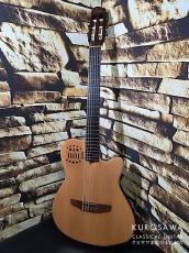 Godin ゴダン ACS SA 2000年製 ソリッドエレガット【日本総本店2F 在庫品】