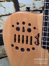 Godin ゴダン ACS SA 2000年製 ソリッドエレガット【日本総本店2F 在庫品】_3