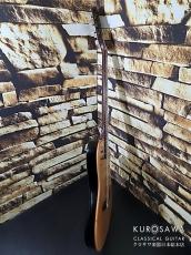 Godin ゴダン ACS SA 2000年製 ソリッドエレガット【日本総本店2F 在庫品】_8