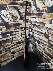 Godin ゴダン ACS SA 2000年製 ソリッドエレガット【日本総本店2F 在庫品】_10