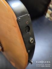 Godin ゴダン ACS SA 2000年製 ソリッドエレガット【日本総本店2F 在庫品】_12