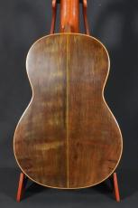 IGPレオナ トーレス　中出輝明作　松/ハカランダ単板_3