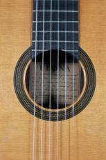 IGPレオナ トーレス　中出輝明作　松/ハカランダ単板_5