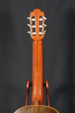 IGPレオナ トーレス　中出輝明作　松/ハカランダ単板_6